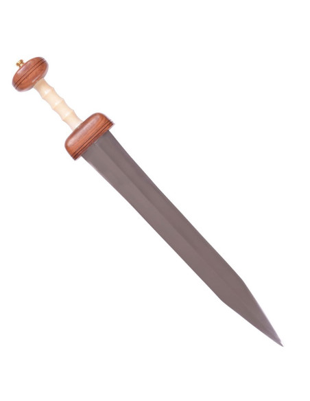 Gladius Romana Mayence