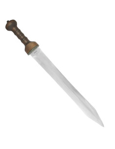 Gladius Mayence Condor 2