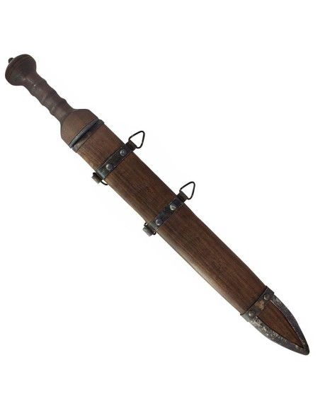 Gladius Mayence Condor Gladius Mayence Condor