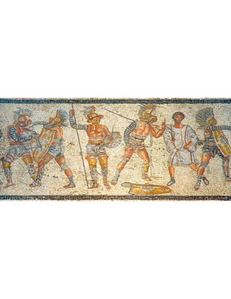 Protection de bras de gladiateur