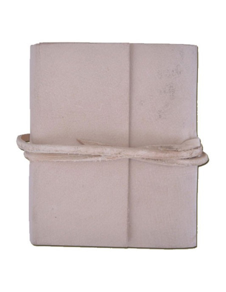 journal de poche médiéval