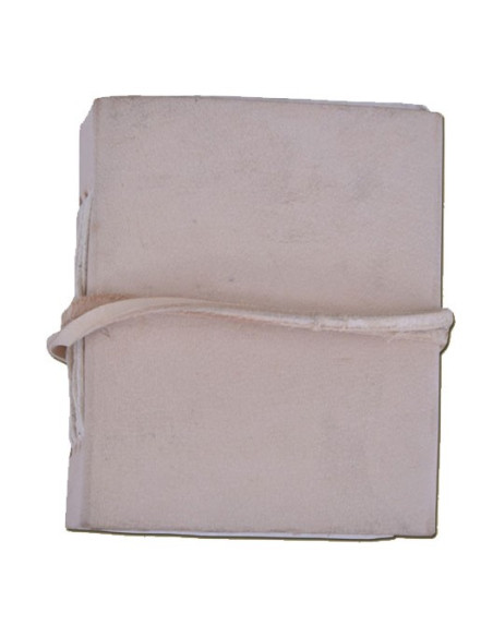 journal de poche médiéval