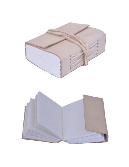 journal de poche médiéval