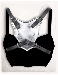 Armure pour femme en acier 2