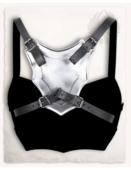 Armure pour femme en acier