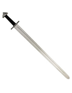 Combat à l'épée viking (entraînement)