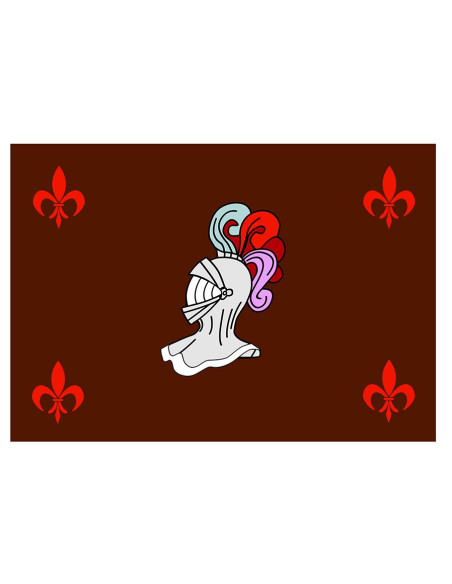 Armure de casque de drapeau médiéval (100x70 cms.)