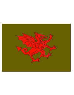 Drapeau médiéval dragon rouge