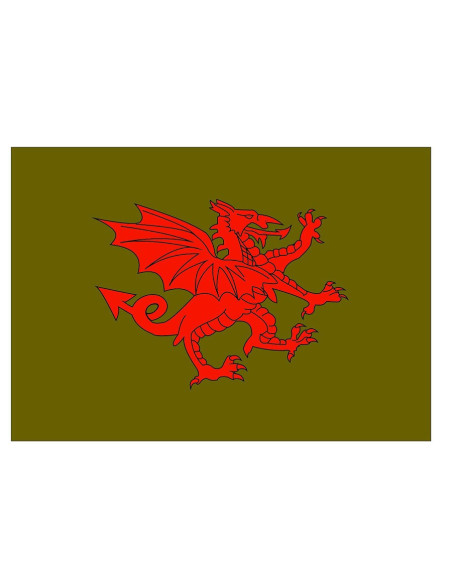 Drapeau médiéval dragon rouge Drapeau médiéval dragon rouge