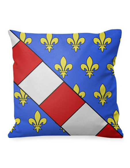 Coussin médiéval Bouclier Louis de France