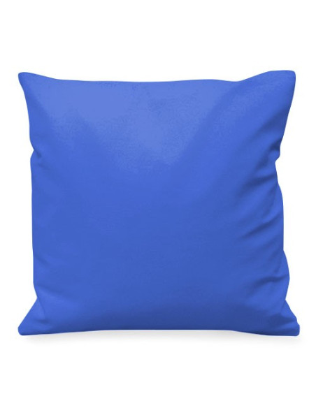 Coussin médiéval Bouclier Louis de France