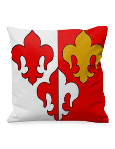 Coussin fleur de lys médiéval bicolore