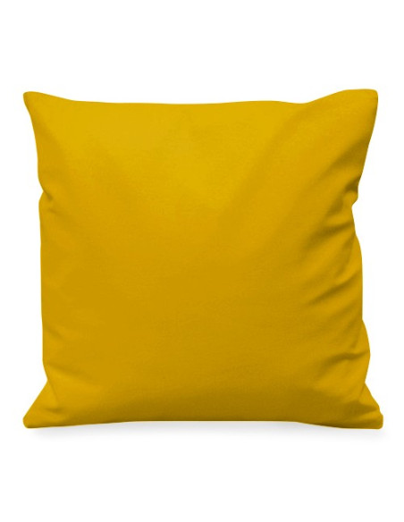 Coussin romain lauré aux demi-lunes
