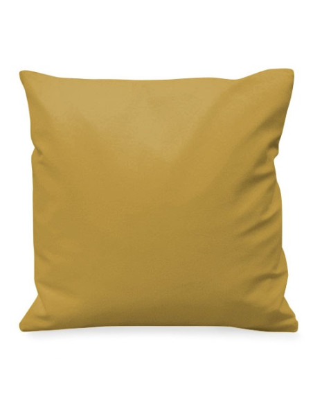 Coussin personnalisé avec blason héraldique 1 nom de famille