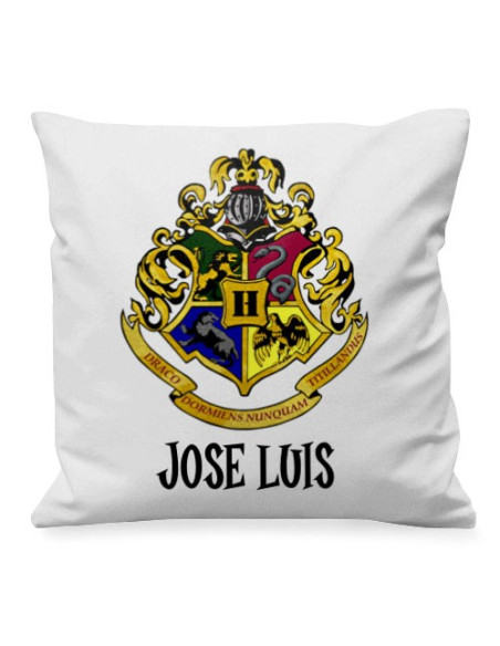Coussin école de magie Harry Potter