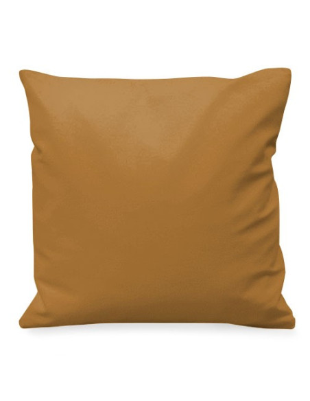 Combattre les guerriers grecs Coussin