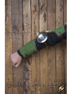 Protection complète des bras Paladin 2