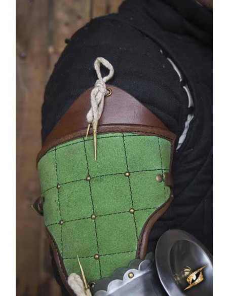 Protection complète des bras Paladin