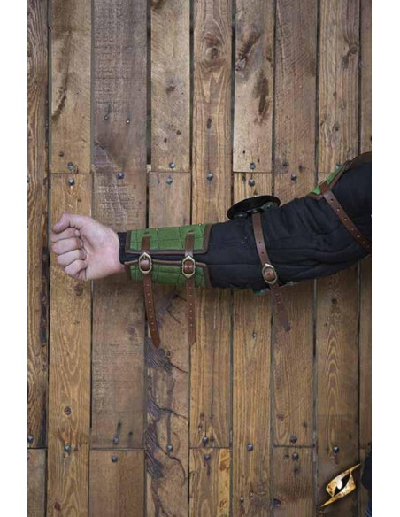 Protection complète des bras Paladin