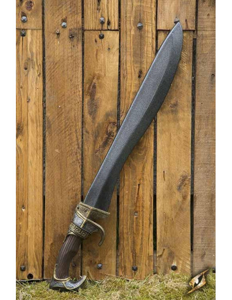 Falcata ibérique GN