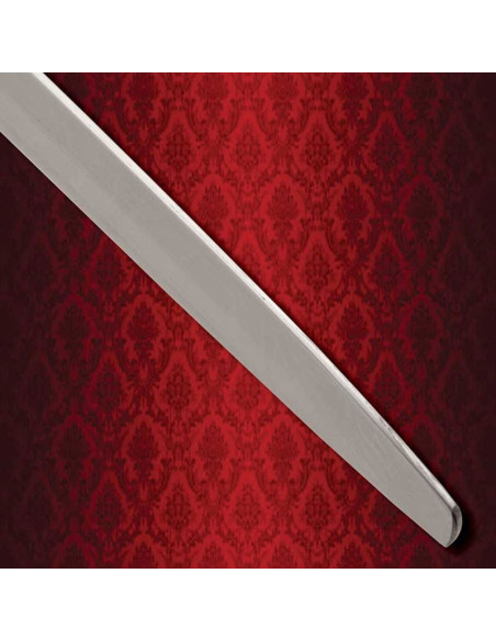 Épée de combat du chevalier errant