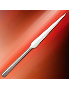 Lancer de fer de lance