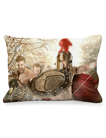 Coussin Rectangulaire Spartans Fight