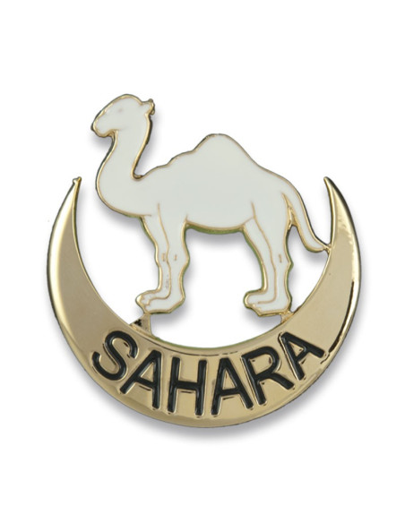 Insigne de la mission du Sahara