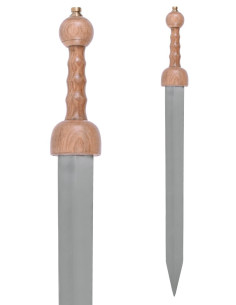 Épée romaine Gladius Pompéi avec fourreau, IIIe siècle av. 2