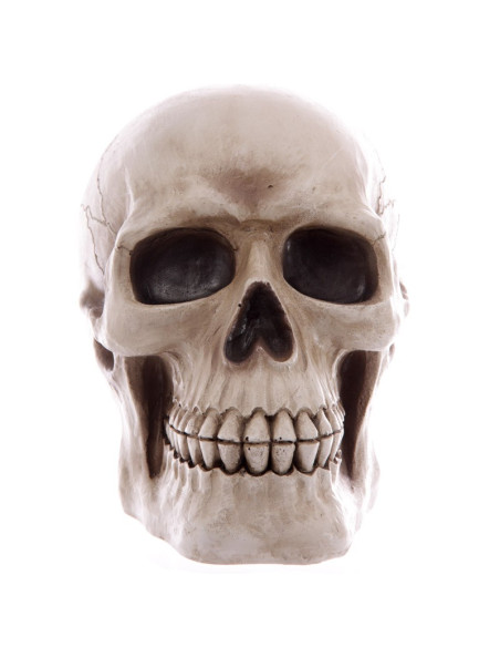 Tirelire Crâne pour enregistrer votre...