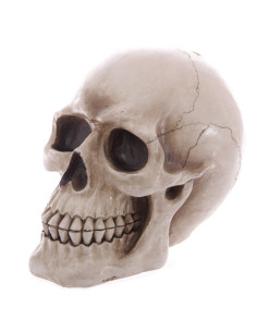 Tirelire Crâne pour enregistrer votre épargne