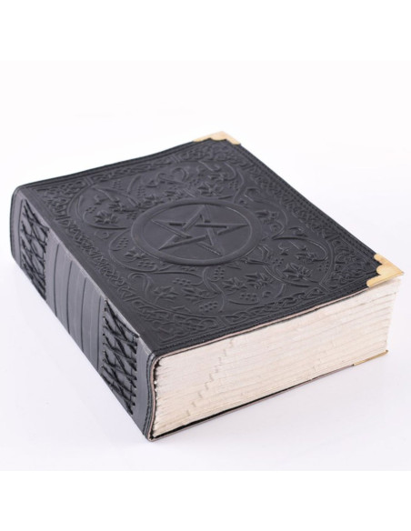 Journal médiéval avec pentagramme