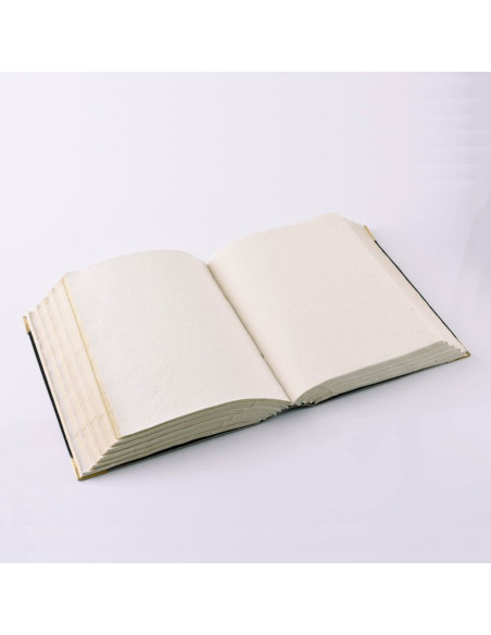 Journal médiéval avec pentagramme