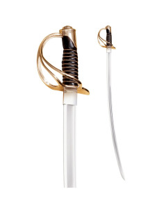 Sabre de cavalerie lourde des États-Unis, 1860