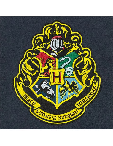 Drapeau de l'école de magie Harry Potter - AliExpress