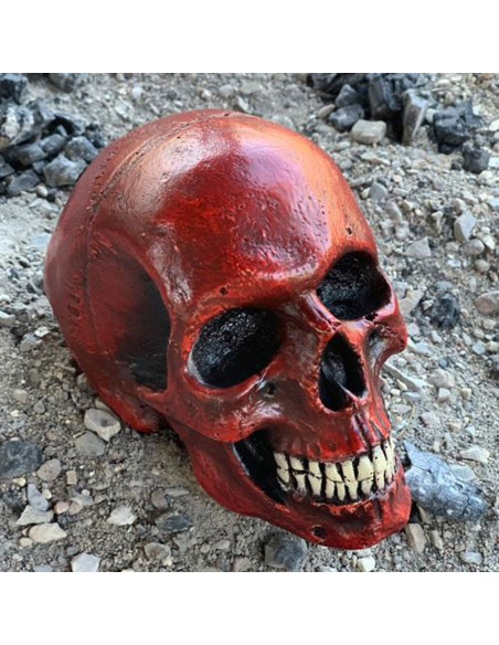 Crâne rouge moyen