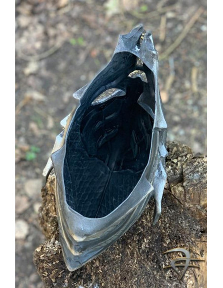 Casque de Guerrier de Lumière, GN