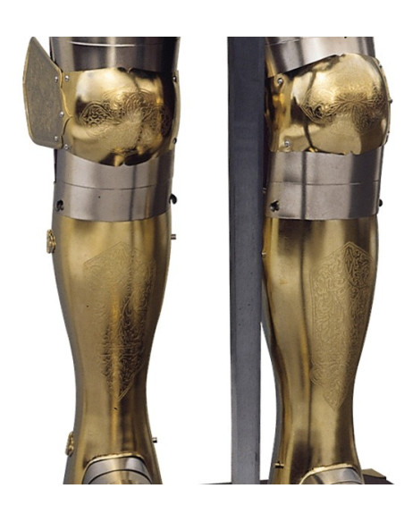 Armure naturelle en argent et or avec gravures, costume de grenat et épée dans ses mains