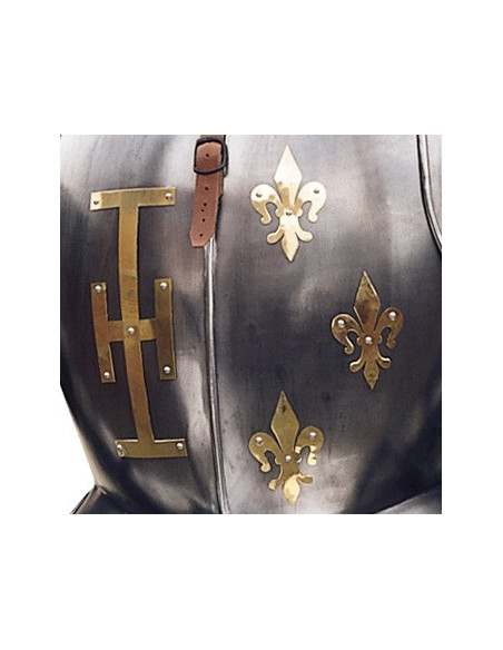 Armure naturelle avec bouclier et lance