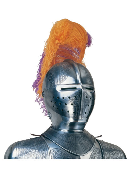 Armure en argent naturel avec gravures, panache de plumes et épée dans les mains