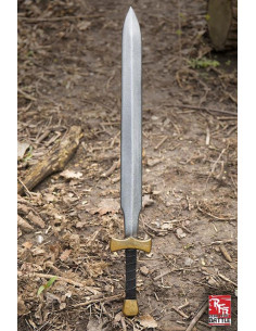 Sword Warrior prêt pour la bataille, LARP
