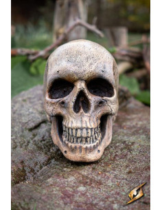 Crâne humain en mousse 2