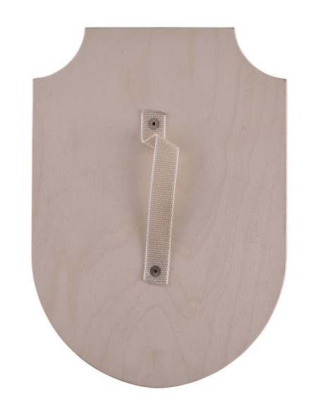 Bouclier en bois de dragon, diverses...