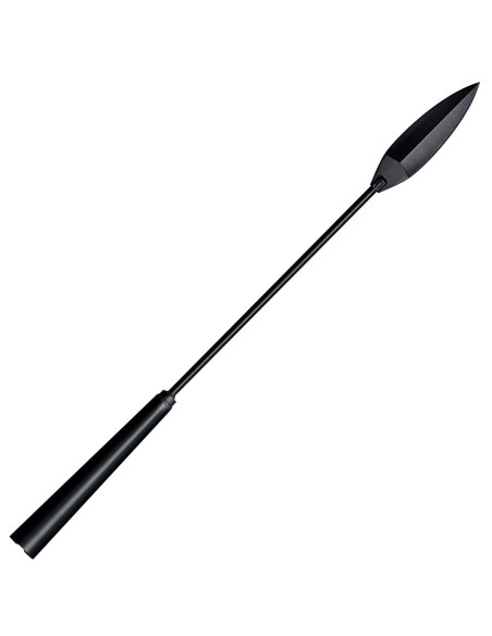 Fer de lance américain pour la...