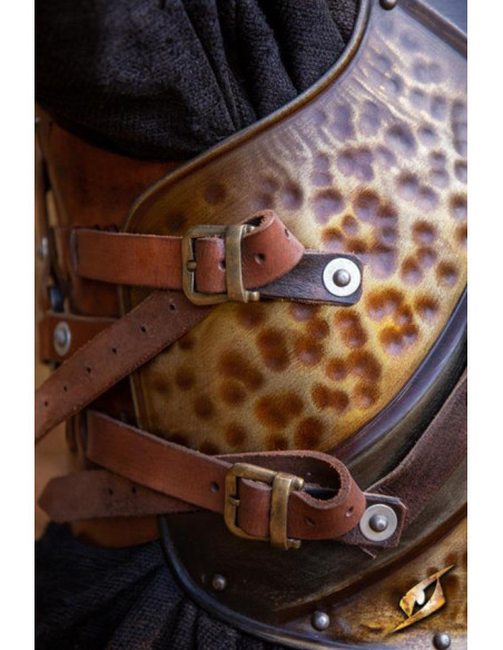 Plastron et dossier de l'Orc Raider,...