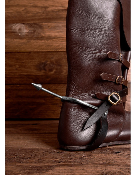 Eperons acier normands (comprend la...