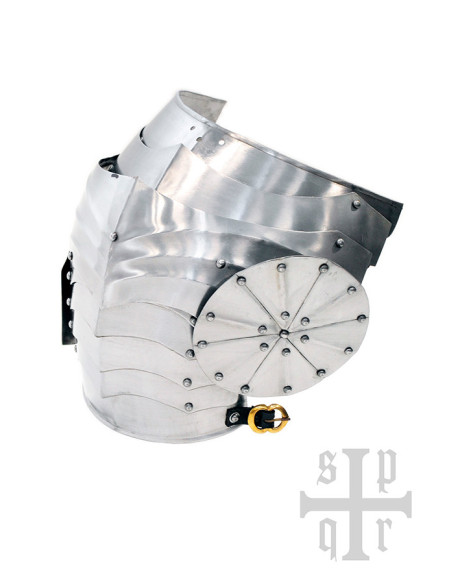 Paire d'Épaulières Gothiques en...