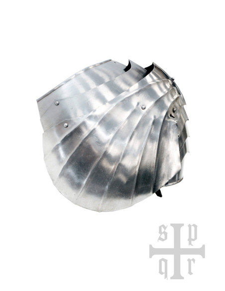 Paire d'Épaulières Gothiques en...