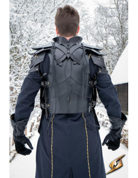 Ensemble complet Shadow Armor en...