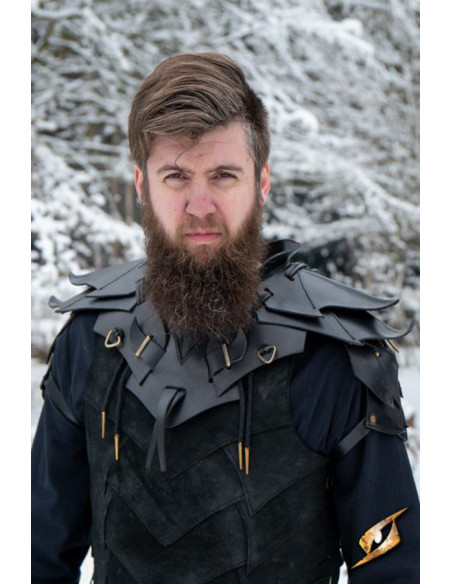 Ensemble complet Shadow Armor en...